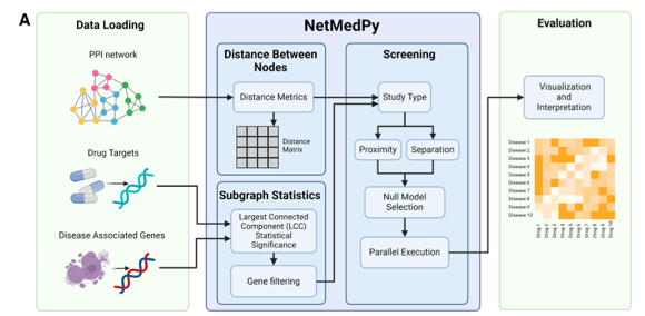 NetMedPy